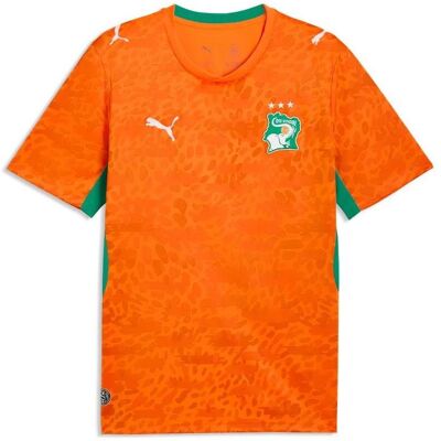 Puma Herren, Fussballtrikot, FIF Home Jersey Replica (S), Orange, Grün, S Puma Herren, Fussballtrikot, FIF Home Jersey Replica (S), Orange, Grün, S
