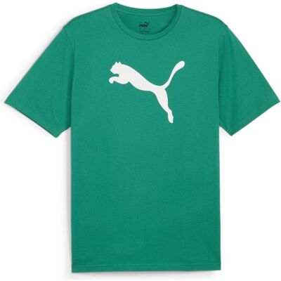 Puma Herren, Sportshirt, teamRISE Logo Jersey Cotton (M), Grün, M Puma Herren, Sportshirt, teamRISE Logo Jersey Cotton (M), Grün, M