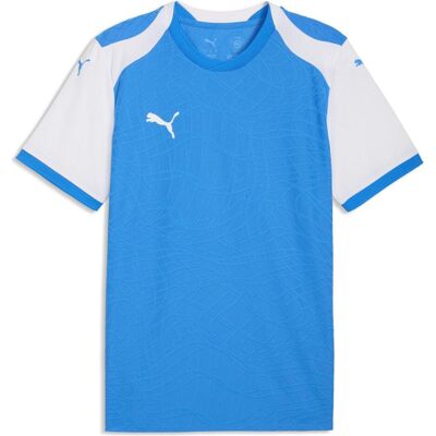 Puma Herren, Sportshirt, teamFINAL26 Knit Jersey (XL), Blau, XL Puma Herren, Sportshirt, teamFINAL26 Knit Jersey (XL), Blau, XL