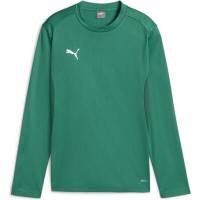 Puma Jungen, Sportshirt, teamGOAL Training Sweat Jr (128), Grün, 128 Puma Jungen, Sportshirt, teamGOAL Training Sweat Jr (128), Grün, 128