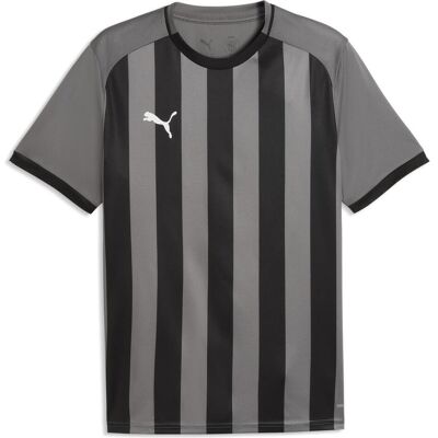 Puma Herren, Sportshirt, teamLIGA26 Striped Jersey (XL), Grau, Weiss, Schwarz, XL Puma Herren, Sportshirt, teamLIGA26 Striped Jersey (XL), Grau, Weiss, Schwarz, XL