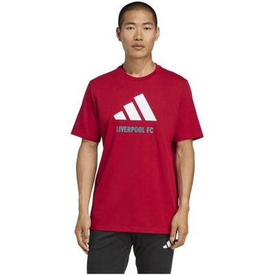 Adidas Herren, Sportshirt, Liverpool Saisonales DNA Grafik-T-Shirt (XL), XL Adidas Herren, Sportshirt, Liverpool Saisonales DNA Grafik-T-Shirt (XL), XL