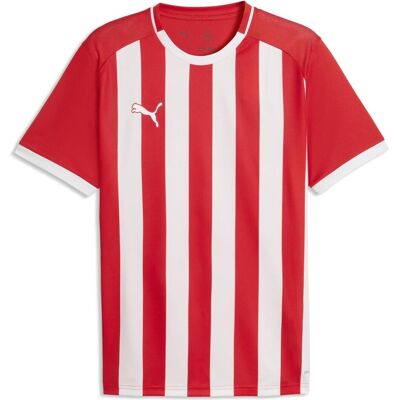 Puma Herren, Sportshirt, teamLIGA26 Striped Jersey (XL), Rot, Weiss, XL Puma Herren, Sportshirt, teamLIGA26 Striped Jersey (XL), Rot, Weiss, XL