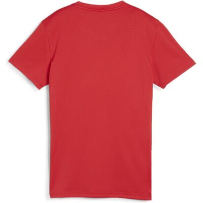 Puma Damen, Sportshirt, teamGOAL Jersey Wmn (M), Rot, M Puma Damen, Sportshirt, teamGOAL Jersey Wmn (M), Rot, M