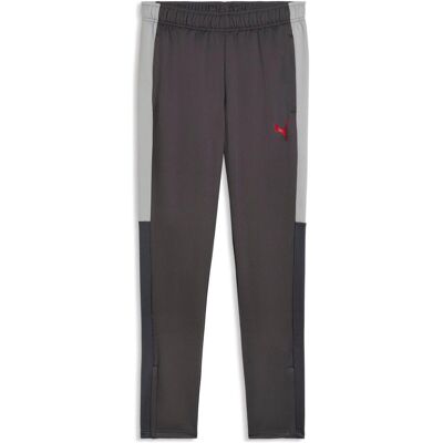 Puma Herren, Sporthose, IndividualLIGA Training Pants (S), Rot, Grau Puma Herren, Sporthose, IndividualLIGA Training Pants (S), Rot, Grau