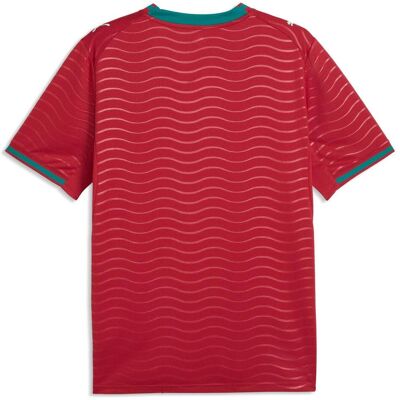 Puma Jungen, Fussballtrikot, FPF Home Jersey Replica Jr (128), Grün, Rot, 128 Puma Jungen, Fussballtrikot, FPF Home Jersey Replica Jr (128), Grün, Rot, 128