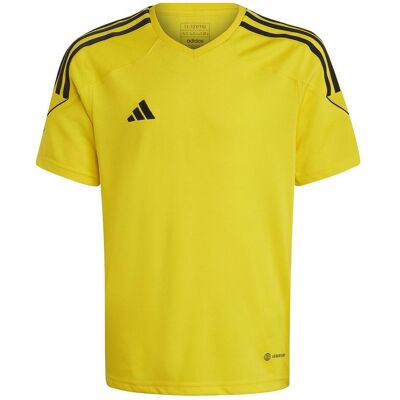 Adidas Jungen, Sportshirt, Tiro 23 Trikot Kinder (140), Gelb, Schwarz, 140 Adidas Jungen, Sportshirt, Tiro 23 Trikot Kinder (140), Gelb, Schwarz, 140