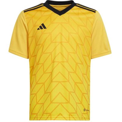 Adidas Jungen, Sportshirt, Team Icon 23 Trikot (140), Gold, 140 Adidas Jungen, Sportshirt, Team Icon 23 Trikot (140), Gold, 140