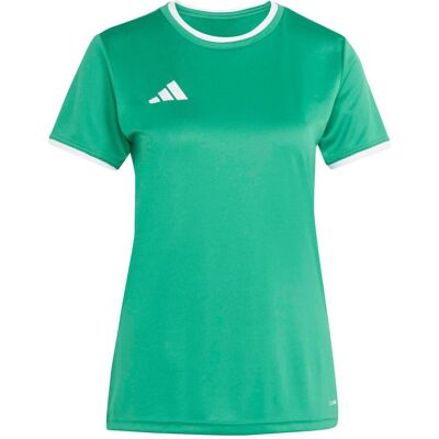 Adidas Damen, Sportshirt, Ent26 Jsy W - teagrn/white (L), Weiss, Grün, L Adidas Damen, Sportshirt, Ent26 Jsy W - teagrn/white (L), Weiss, Grün, L