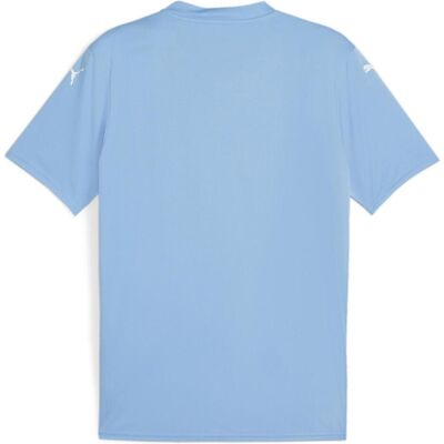 Puma Herren, Sportshirt, teamGLORY Jersey (L), Blau, L Puma Herren, Sportshirt, teamGLORY Jersey (L), Blau, L