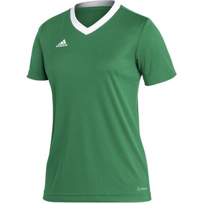 Adidas Damen, Sportshirt, Entrada 22 Fussballtrikot Damen (L), Grün, L Adidas Damen, Sportshirt, Entrada 22 Fussballtrikot Damen (L), Grün, L