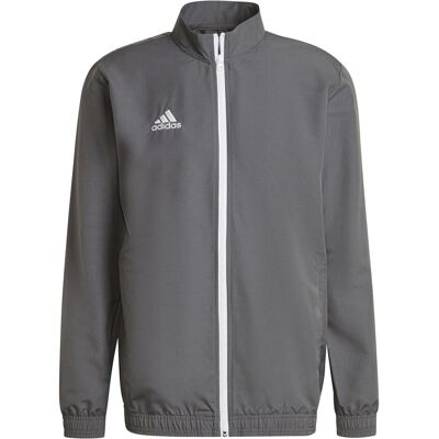 Adidas Herren, Trainingsjacken, Entrada 22 Präsentationsjacke Herren (M), Grau, Grün, Silber, M Adidas Herren, Trainingsjacken, Entrada 22 Präsentationsjacke Herren (M), Grau, Grün, Silber, M