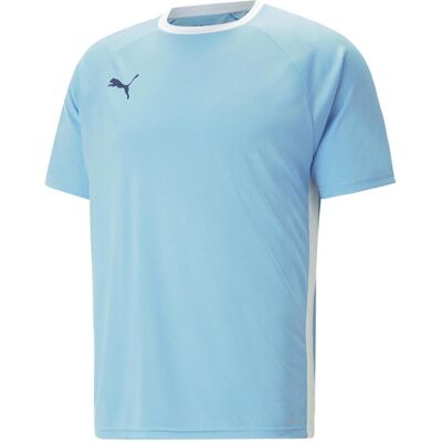 Puma Herren, Sportshirt, teamLIGA Multisport Shirt (L), Blau, L Puma Herren, Sportshirt, teamLIGA Multisport Shirt (L), Blau, L