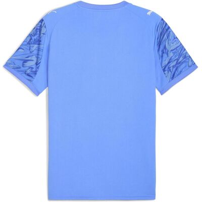 Puma Herren, Sportshirt, GK Jersey Replica SS (L), Blau, L Puma Herren, Sportshirt, GK Jersey Replica SS (L), Blau, L