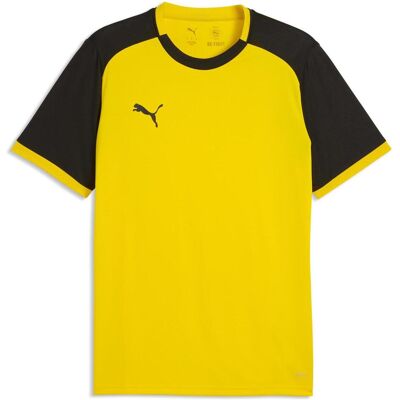 Puma Herren, Sportshirt, teamLIGA26 Matchday Jersey (L), Gelb, L Puma Herren, Sportshirt, teamLIGA26 Matchday Jersey (L), Gelb, L