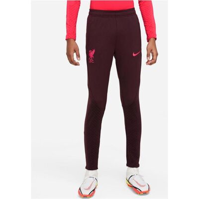 Nike, Jungen, Sporthose, Lfc Y Nk Df Strk Pant Kpz Ks,B Burgundy Crush/Siren Red L (L), Mehrfarbig, Rot Nike, Jungen, Sporthose, Lfc Y Nk Df Strk Pant Kpz Ks,B Burgundy Crush/Siren Red L (L), Mehrfarbig, Rot