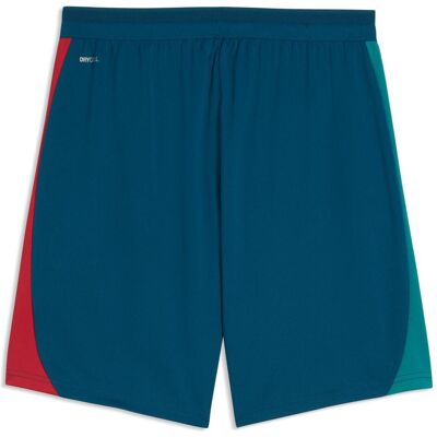 Puma Herren, Sporthose, FPF Training Shorts w/ pockets (M), Blau, Grau, Türkis, Silber Puma Herren, Sporthose, FPF Training Shorts w/ pockets (M), Blau, Grau, Türkis, Silber
