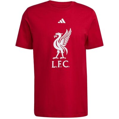 Adidas Herren, Fussballtrikot, Liverpool-T-Shirt (M), Rot, Weiss, M Adidas Herren, Fussballtrikot, Liverpool-T-Shirt (M), Rot, Weiss, M