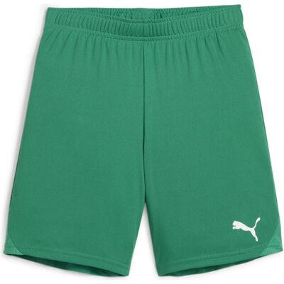 Puma teamGOAL Junior Kinder grün 128 Sports Shorts Puma teamGOAL Junior Kinder grün 128 Sports Shorts