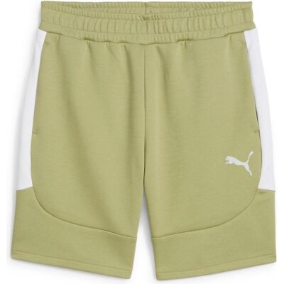 Puma Herren, Sporthose, teamEVOSTRIPE Shorts (3XL), Grün, Weiss, Silber Puma Herren, Sporthose, teamEVOSTRIPE Shorts (3XL), Grün, Weiss, Silber