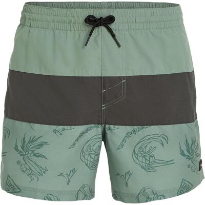 O'Neill, Herren, Badehosen, MIX & MATCH CALI BLOCK 15" SWIM SHORTS, Grün, (M) O'Neill, Herren, Badehosen, MIX & MATCH CALI BLOCK 15" SWIM SHORTS, Grün, (M)