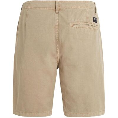Protest, Herren, Badehosen, Herren Shorts Procomie Shorts, Braun, (M) Protest, Herren, Badehosen, Herren Shorts Procomie Shorts, Braun, (M)