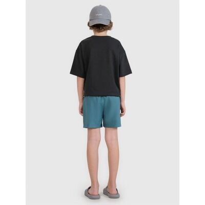 4F, Jungen, Badehosen, Badeshorts für Jungen, Junior-Strandshorts, (134, 140) 4F, Jungen, Badehosen, Badeshorts für Jungen, Junior-Strandshorts, (134, 140)