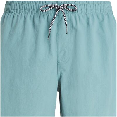 Protest, Herren, Badehosen, FASTER beachshort, Grün, (M) Protest, Herren, Badehosen, FASTER beachshort, Grün, (M)