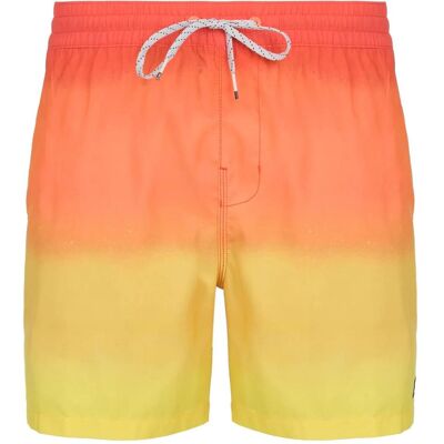 Quiksilver, Herren, Badehosen, All Day Fade 16 Shorts, Mehrfarbig, (S) Quiksilver, Herren, Badehosen, All Day Fade 16 Shorts, Mehrfarbig, (S)