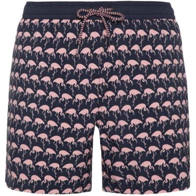 Protest, Herren, Badehosen, Herren Beachshort PRTOHLANDER Night SkyBlue S, Blau, (S) Protest, Herren, Badehosen, Herren Beachshort PRTOHLANDER Night SkyBlue S, Blau, (S)