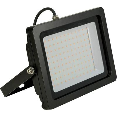 EuroLite LED IP FL-100 SMD türkis (110 W, LED), Scheinwerfer, Türkis EuroLite LED IP FL-100 SMD türkis (110 W, LED), Scheinwerfer, Türkis