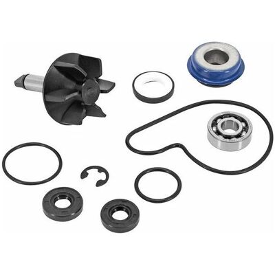 Magneti Marelli, Fahrzeug Werkzeug, Wasserpumpen-Reparatursatz Magneti Marelli, Fahrzeug Werkzeug, Wasserpumpen-Reparatursatz