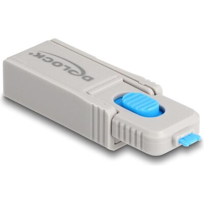 Delock Verschlusswerkzeug für Port Blocker, Notebook Security, Blau, Grau Delock Verschlusswerkzeug für Port Blocker, Notebook Security, Blau, Grau