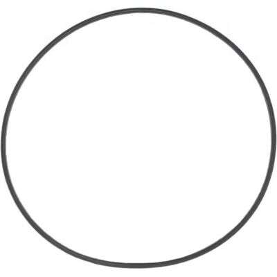 Athena Motorrad Zubehör, 2026/01 Kupplungsdeckeldichtung O-Ring 2,5 x 113 mm KTM SX 50 '09–'26, GAS GAS MC 50 Athena Motorrad Zubehör, 2026/01 Kupplungsdeckeldichtung O-Ring 2,5 x 113 mm KTM SX 50 '09–'26, GAS GAS MC 50