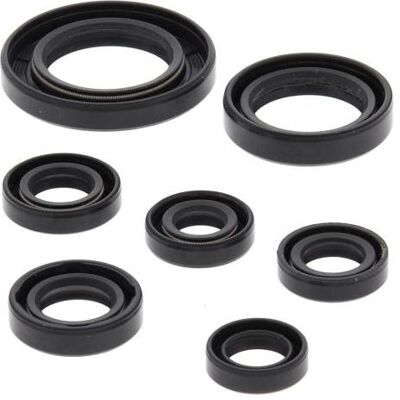 Winderosa, Motorrad Zubehör, (VERTEX) Motordichtungssatz für Honda TRX250TE RECON 02-21, TRX250TM RECON 02-21, TRX250X Winderosa, Motorrad Zubehör, (VERTEX) Motordichtungssatz für Honda TRX250TE RECON 02-21, TRX250TM RECON 02-21, TRX250X