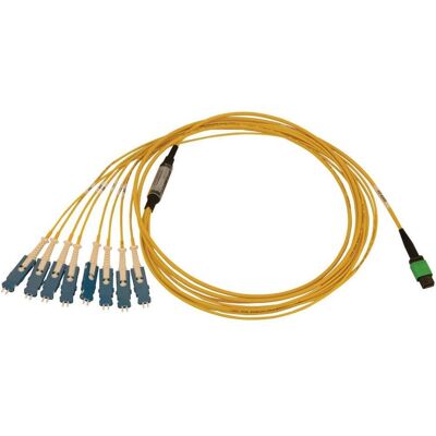 Eaton 40/100/400G Singlemode 9/125 OS2 Breakout Fiber Optic Cable 16F MTP/MPO-APC to 8x Du (2 m), Netzwerkkabel Eaton 40/100/400G Singlemode 9/125 OS2 Breakout Fiber Optic Cable 16F MTP/MPO-APC to 8x Du (2 m), Netzwerkkabel
