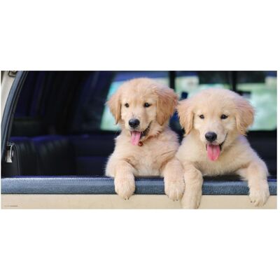 CoverYourDesk, Unterlage, Schreibtischunterlage Golden Retriever Welpen CoverYourDesk, Unterlage, Schreibtischunterlage Golden Retriever Welpen