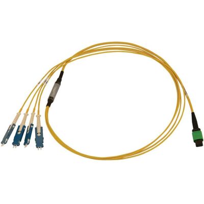 Tripp Lite N390-01M-4S-AP Glasfaserkabel - 12x MTP/MPO, 4x SN - 1,01 m Tripp Lite N390-01M-4S-AP Glasfaserkabel - 12x MTP/MPO, 4x SN - 1,01 m
