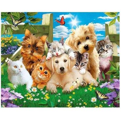 Norimpex 5D-Diamantmosaik - Hunde und Katzen 40x30cm Norimpex 5D-Diamantmosaik - Hunde und Katzen 40x30cm