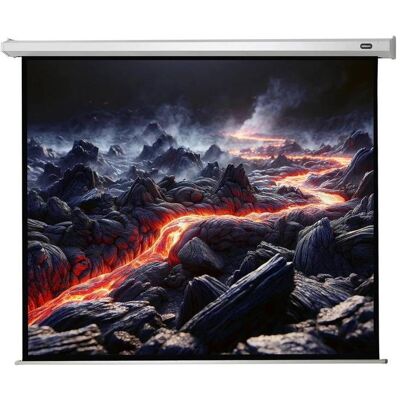 Celexon Motor Economy, Leinwand, 4:3 (98.43", 4:3), Leinwand, Weiss Celexon Motor Economy, Leinwand, 4:3 (98.43", 4:3), Leinwand, Weiss