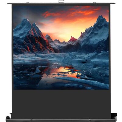 Celexon Leinwand Ultramobil Professional Plus 220 x 125 cm - 100" (100", 16:9), Leinwand, Schwarz Celexon Leinwand Ultramobil Professional Plus 220 x 125 cm - 100" (100", 16:9), Leinwand, Schwarz