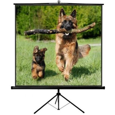Sopar Tp Neu Junior (1:1), Leinwand, Weiss, Schwarz Sopar Tp Neu Junior (1:1), Leinwand, Weiss, Schwarz