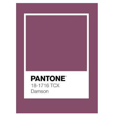 Domoletti, Bettwäsche, Solid PLUM Bedding Set, 140 x 200 cm (Bettwäsche Set, 140 x 200 cm, 50 x 70 cm) Domoletti, Bettwäsche, Solid PLUM Bedding Set, 140 x 200 cm (Bettwäsche Set, 140 x 200 cm, 50 x 70 cm)