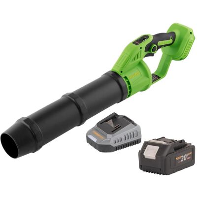 Procraft, Laubsauger + Laubbläser, PB24bb Akku Laubbläser 20 V Brushless + 1x Akku 4,0 Ah + Ladegerät (Akkubetrieb, Laubbläser) Procraft, Laubsauger + Laubbläser, PB24bb Akku Laubbläser 20 V Brushless + 1x Akku 4,0 Ah + Ladegerät (Akkubetrieb, Laubbläser)