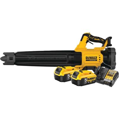 DeWalt, Laubsauger + Laubbläser, 18V XR Axiale 5,0 Ah Accu (2x) Starterspakket (Akkubetrieb, Laubbläser) DeWalt, Laubsauger + Laubbläser, 18V XR Axiale 5,0 Ah Accu (2x) Starterspakket (Akkubetrieb, Laubbläser)