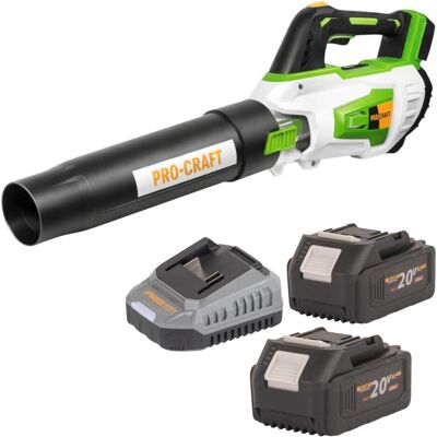 Procraft, Laubsauger + Laubbläser, PB20 Akku Laubbläser 20 V TURBO + 2x Akku 4,0 Ah + Ladegerät (Akkubetrieb, Laubbläser) Procraft, Laubsauger + Laubbläser, PB20 Akku Laubbläser 20 V TURBO + 2x Akku 4,0 Ah + Ladegerät (Akkubetrieb, Laubbläser)