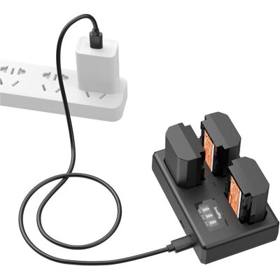 SmallRig SR6016 Camera Battery Kit For Sony NP-FZ100 6016 (Kamera Akku, Kamera Akku Ladegerät), Kamera Stromversorgung, Schwarz SmallRig SR6016 Camera Battery Kit For Sony NP-FZ100 6016 (Kamera Akku, Kamera Akku Ladegerät), Kamera Stromversorgung, Schwarz