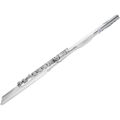 Roland AE-BRISA Digitales Blasinstrument, Blasinstrumente, Silber Roland AE-BRISA Digitales Blasinstrument, Blasinstrumente, Silber