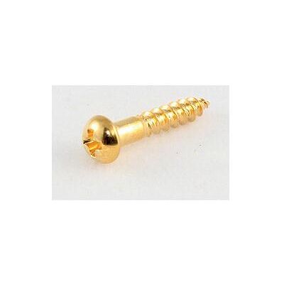 AllParts AP GS 0006-002 Mechanikschr. (16) gold, Zubehör Instrumente, Gold AllParts AP GS 0006-002 Mechanikschr. (16) gold, Zubehör Instrumente, Gold