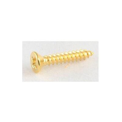 AllParts AP GS 3397-002 HB-Ring Screws/8 gld 13mm (Instrumenten Ersatzteile), Zubehör Instrumente, Gold AllParts AP GS 3397-002 HB-Ring Screws/8 gld 13mm (Instrumenten Ersatzteile), Zubehör Instrumente, Gold